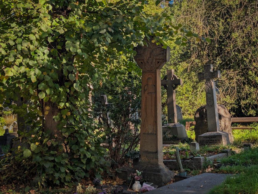 A photograph of a collection of old gravestones and crosses within a cemetery, partially obscured by dense greenery and bushes. The gravestones are made of stone and vary in height and design, with so